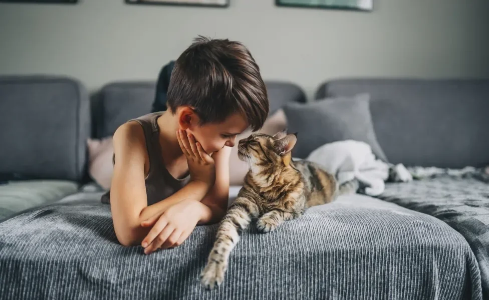 criança com nariz encostado no focinho de gato