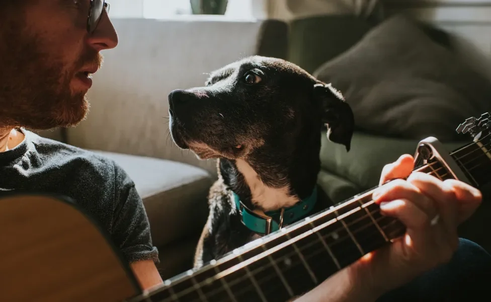 Cachorro ao lado de dono tocando violão