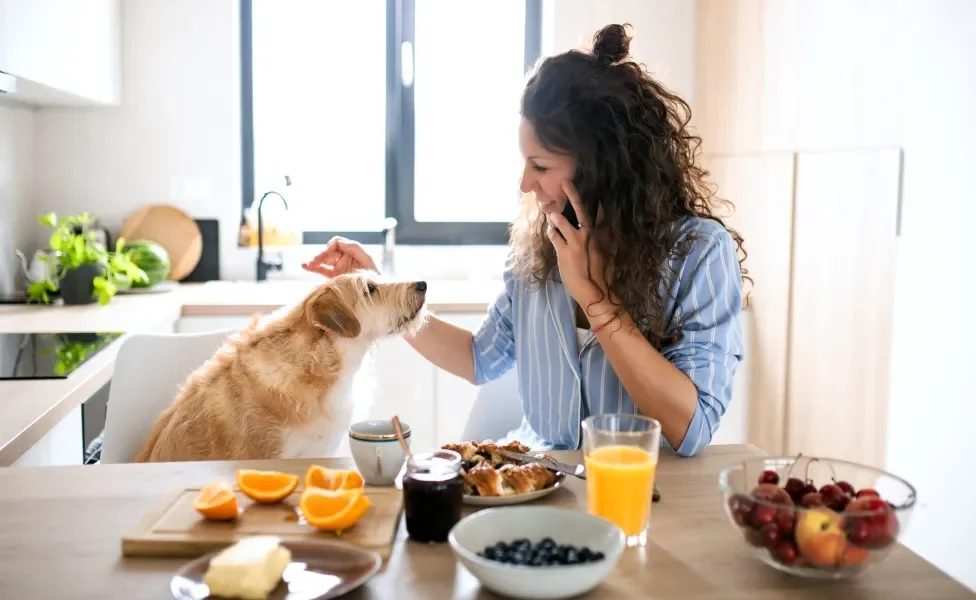 Cachorro e tutora em mesa de café da manhã com várias frutas