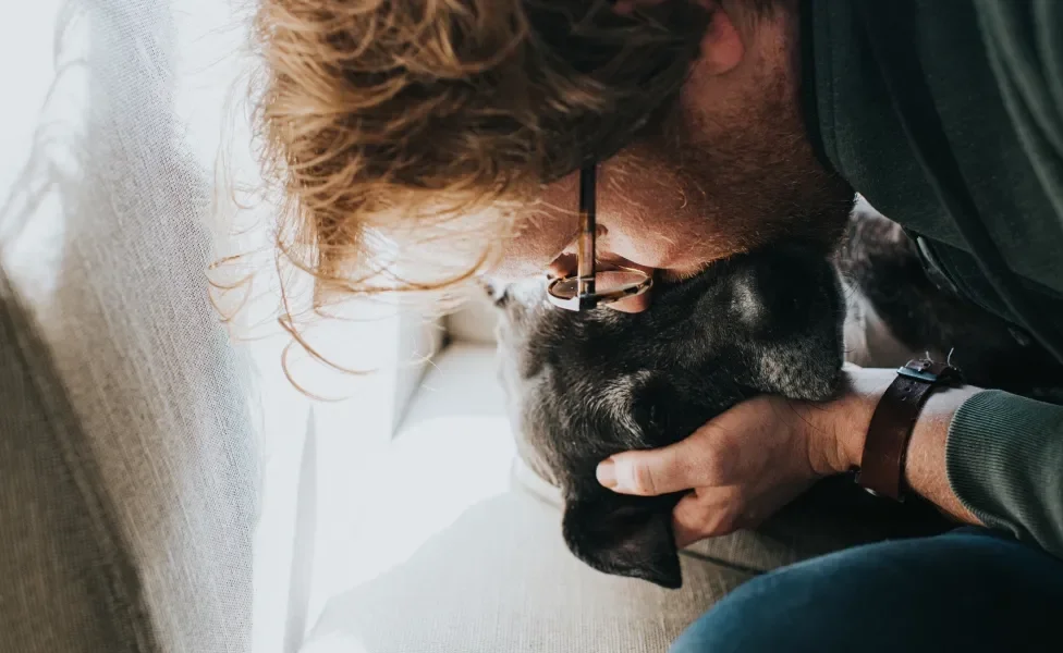 Cachorro recebendo beijo de tutor no rosto