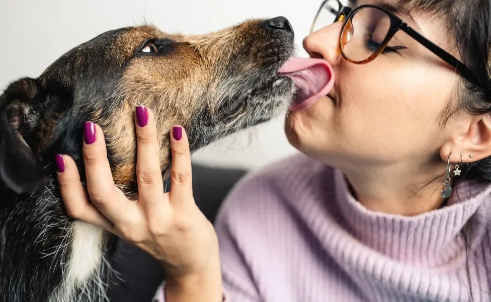 Cão lambendo a boca de tutora 