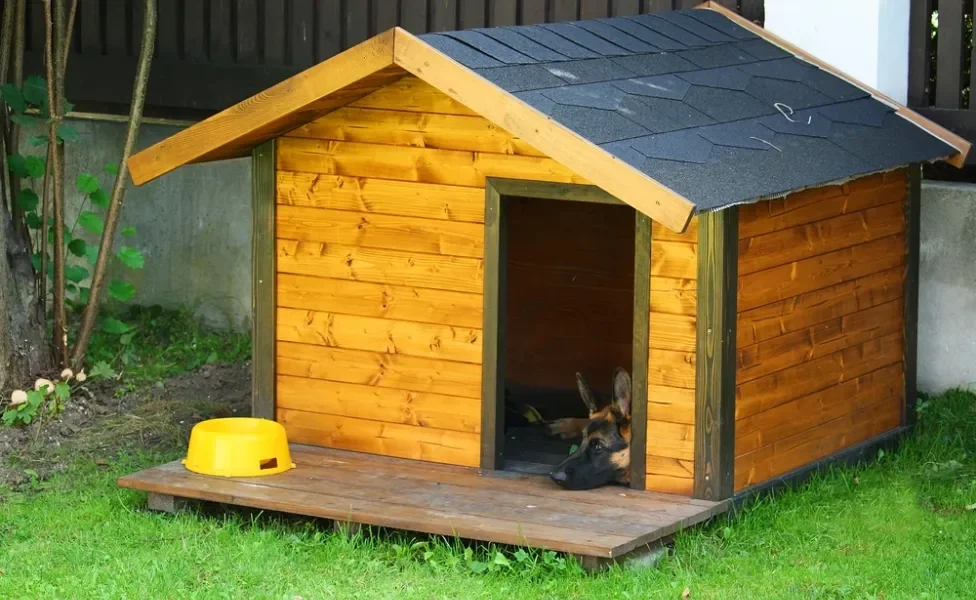 casinha de cachorro grande de madeira com cão deitado dentro