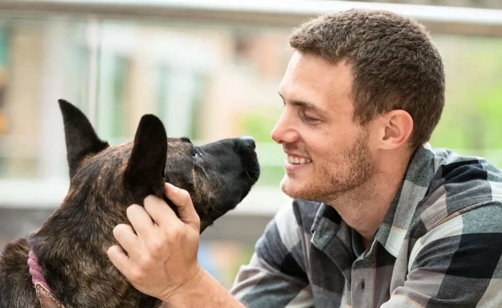 cachorro olhando para homem