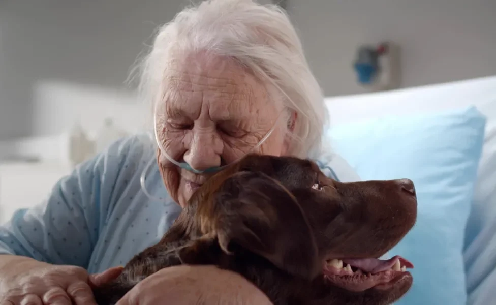 idosa hospitlizada abraçada com cachorro