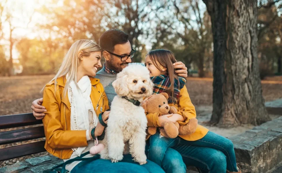 Poodle sentado em banco de bosque junto de sua família humana