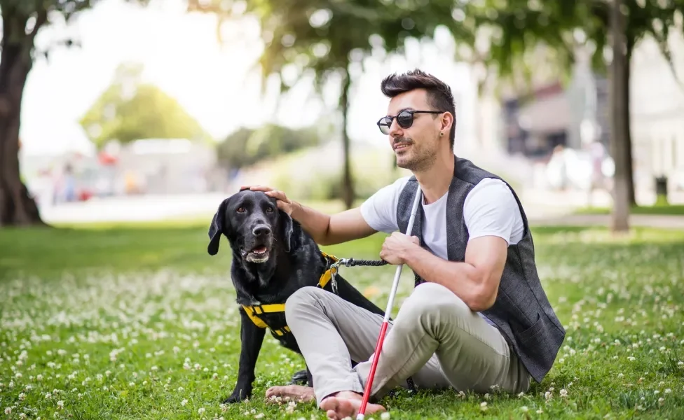 Homem cego e seu cão-guia sentados em parque