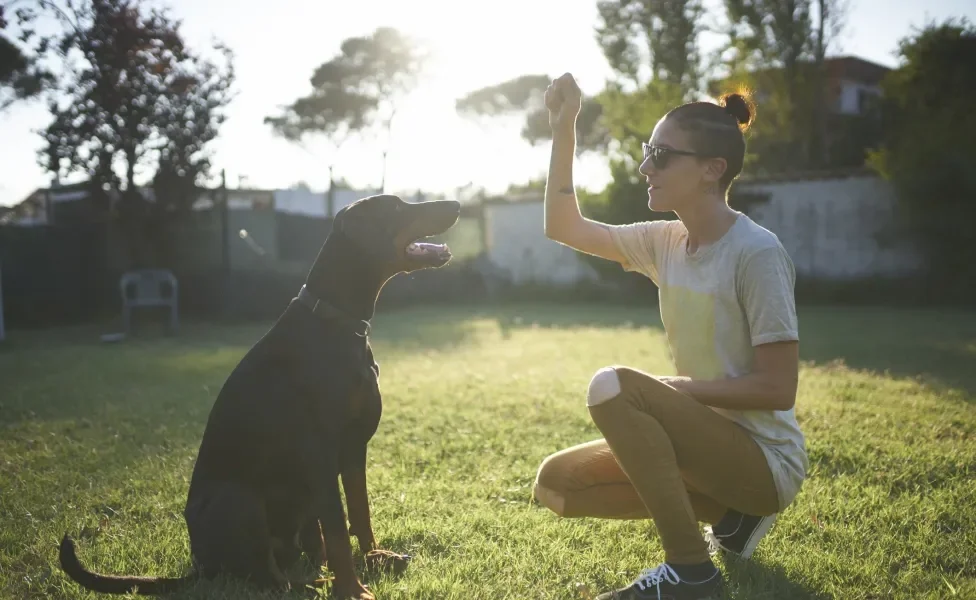 Tutora oferecendo algo para cão preto grande em gramado