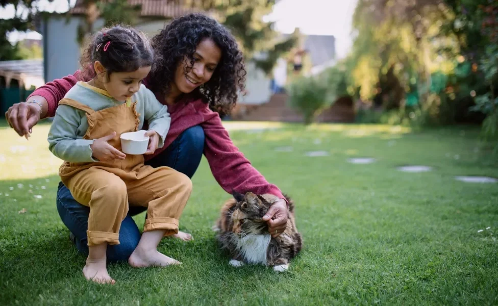 Gato no jardim com tutora e sua filha criança