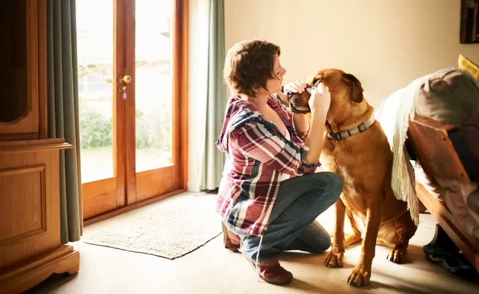 Tutora mexendo no olho de cachorro