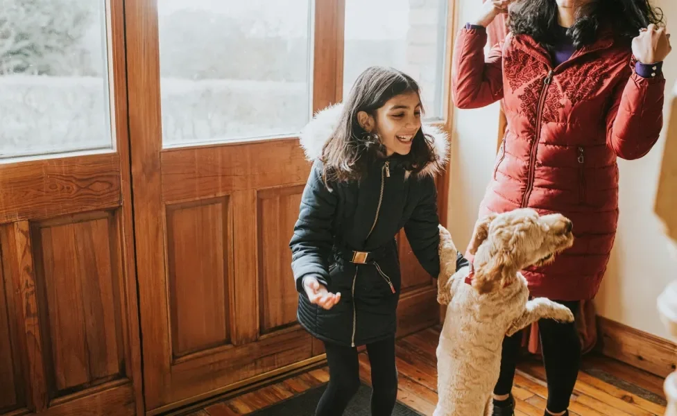 cachorro pulando em visitas