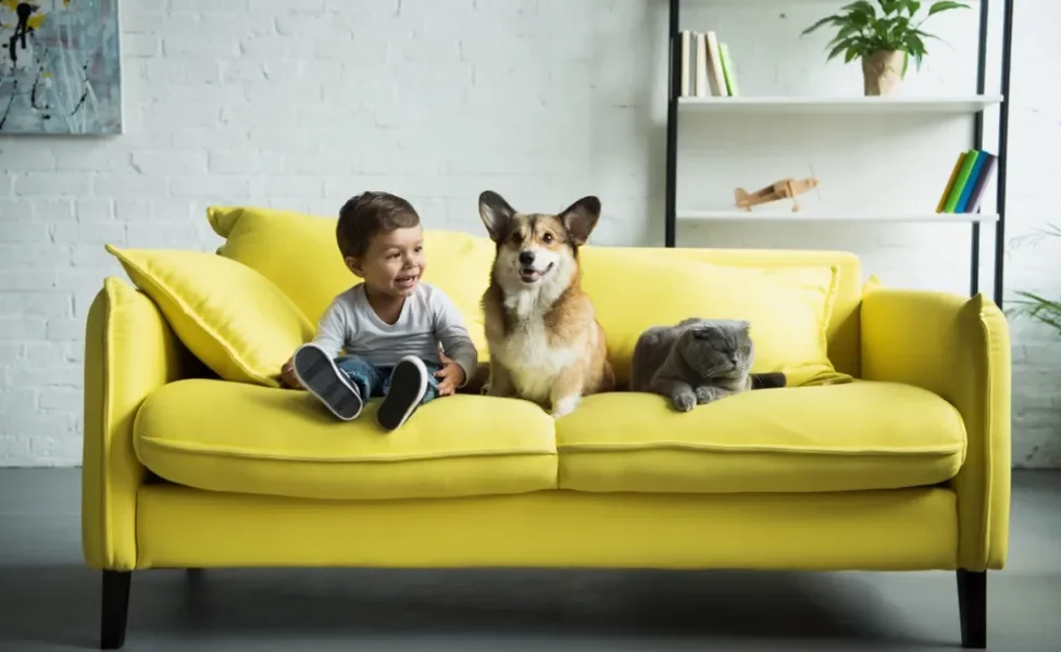 criança com cachorro e gato no sofá