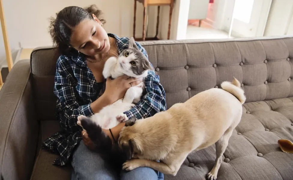 Tutora segurando gato e cachorro em sofá