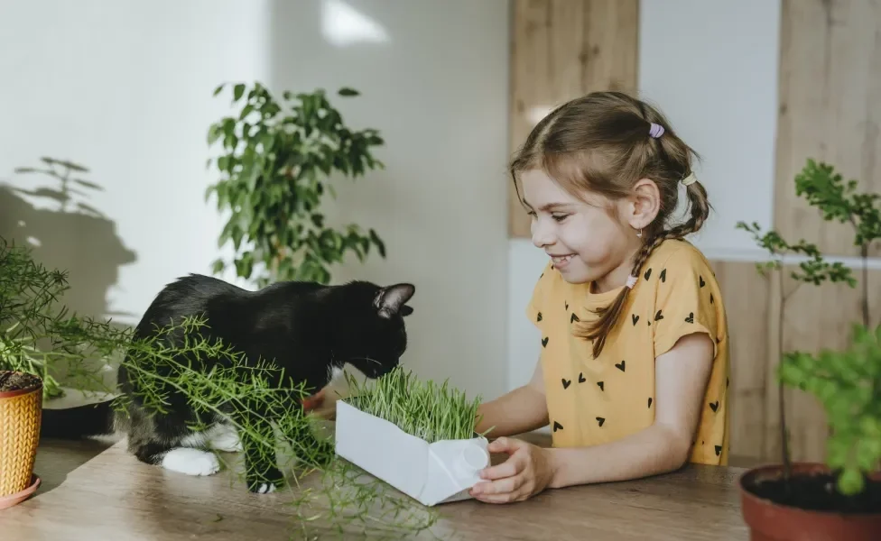 Gato preto cheirando planta ao lado de menina