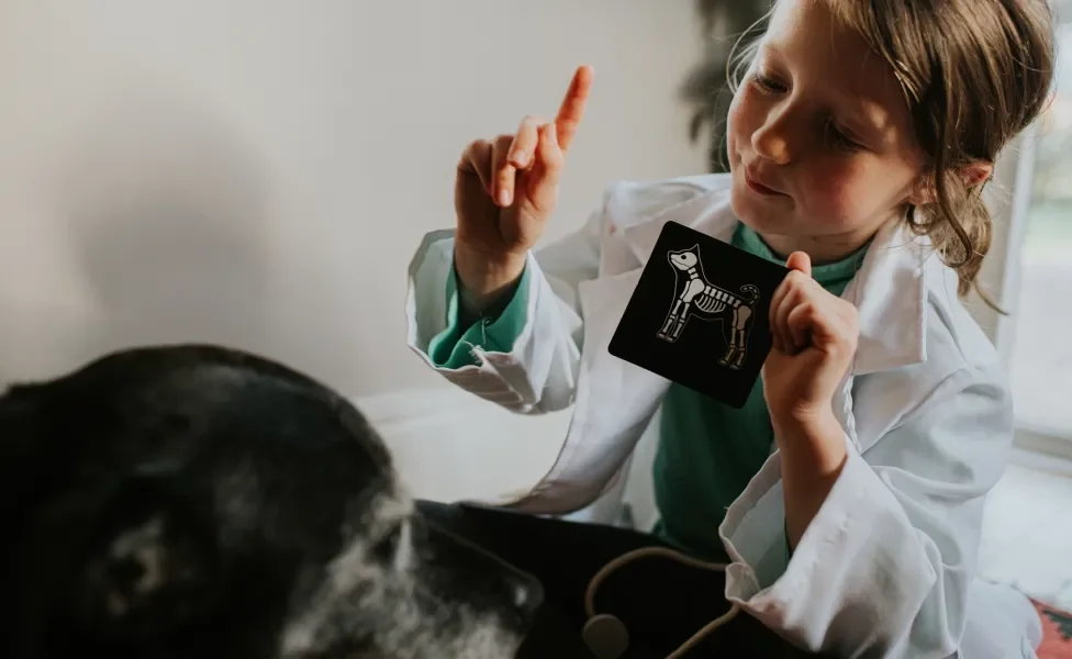 Criança mostrando para cão preto idoso um desenho de esqueleto de cachorro