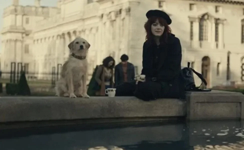 cachorro vira-lata peludo ao lado de atriz emma stone