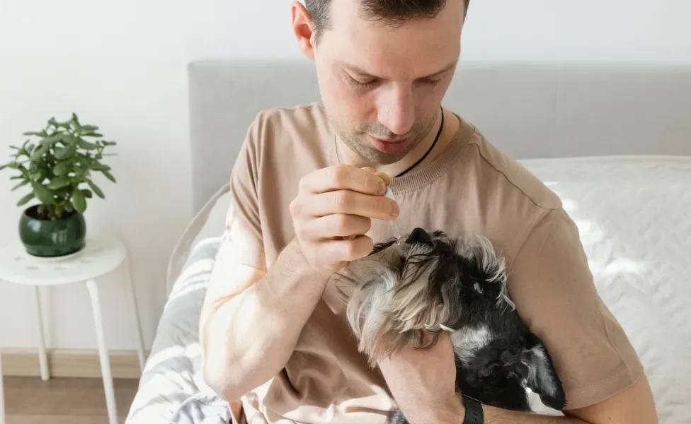 Tutor dando remédio na boca de cachorro peludo