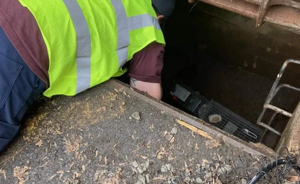 homem de colete tentando colocar armadilha para gato no bueiro