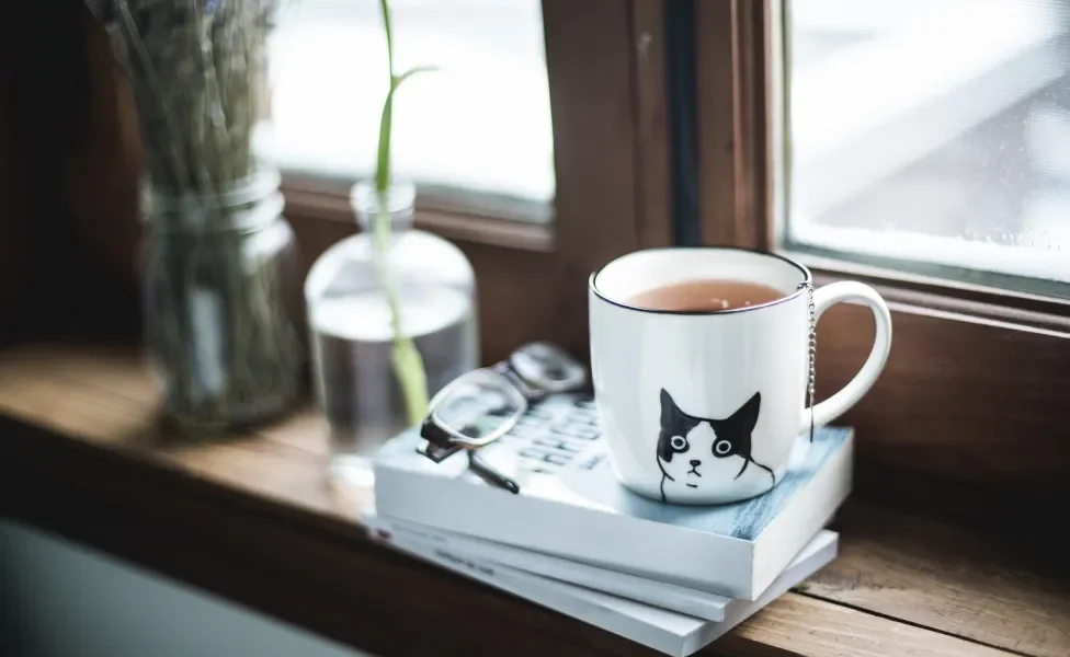 caneca de gato apoiada em livro