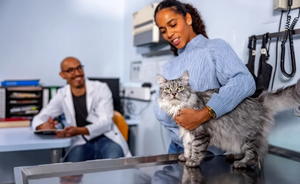 Tutora segurando gato em consultório com veterinário ao fundo