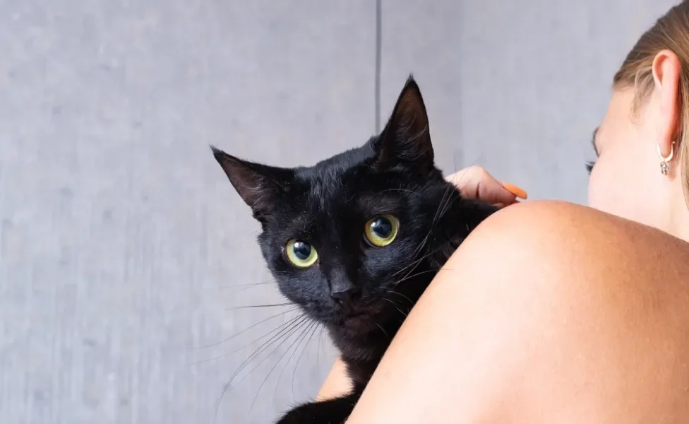 Gato preto de olhos verdes no colo de mulher branca de costas