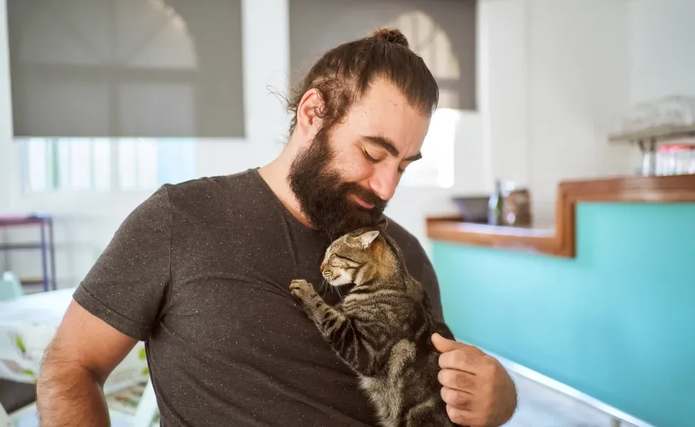 gato abraçando homem