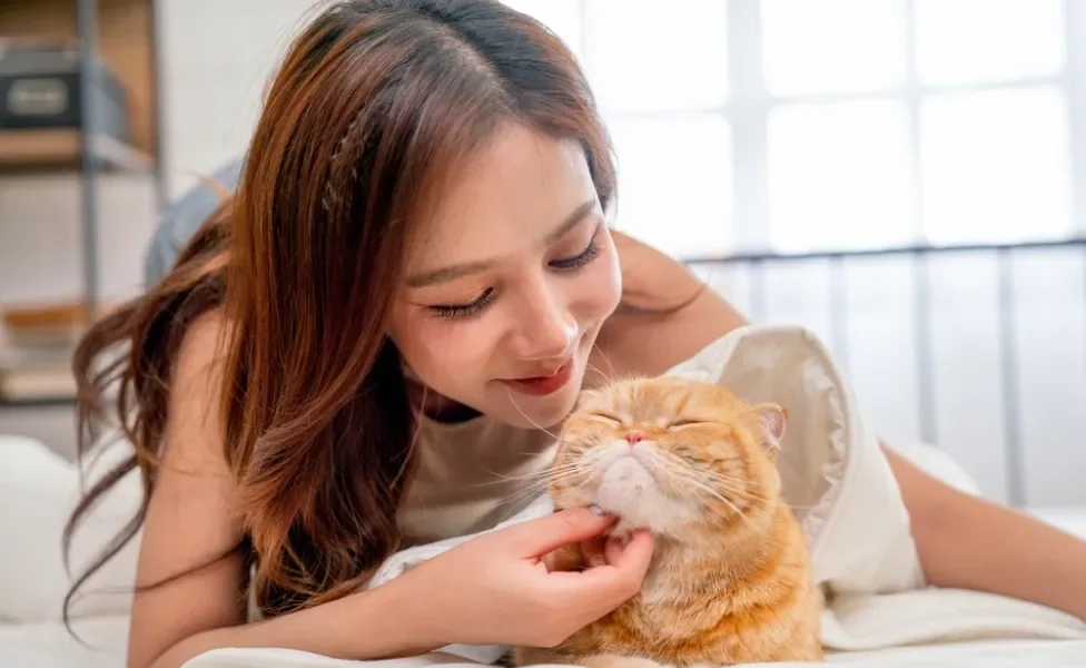 mulher fazendo carinho em gato laranja