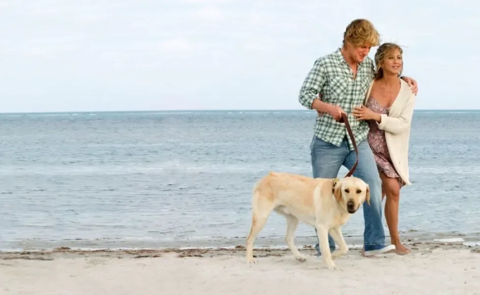 casal passeando com labrador na praia