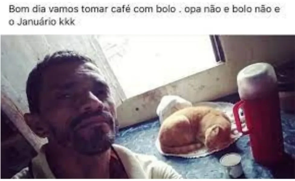 Meme gato Januário