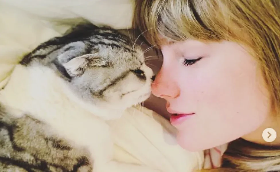 Taylor Swift de rosto colado com gata