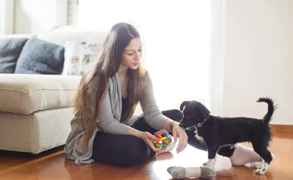 Tutora brincando com cachorro filhote dentro de casa