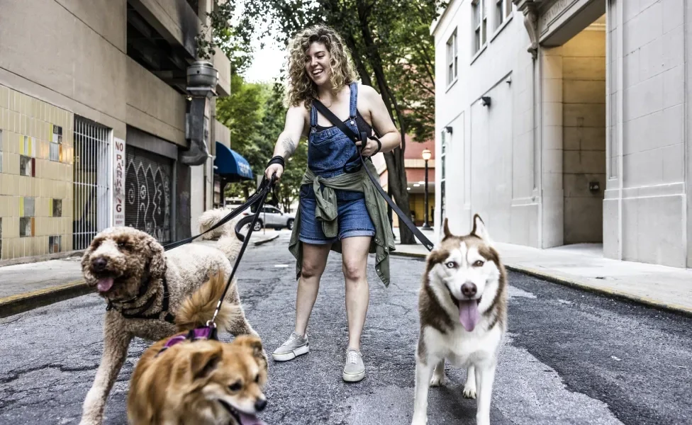 Mulher passeando com vários cachorros em coleiras na rua