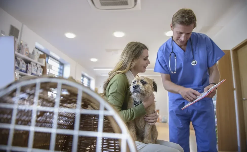 Veterinário mostrando prancheta para tutora segurando seu cachorro em consultório médico