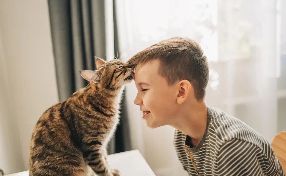 gato lambendo a testa de criança