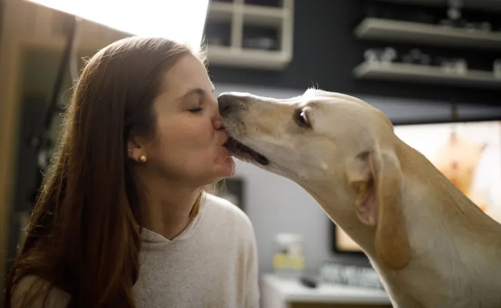 Cão lambendo rosto de tutora