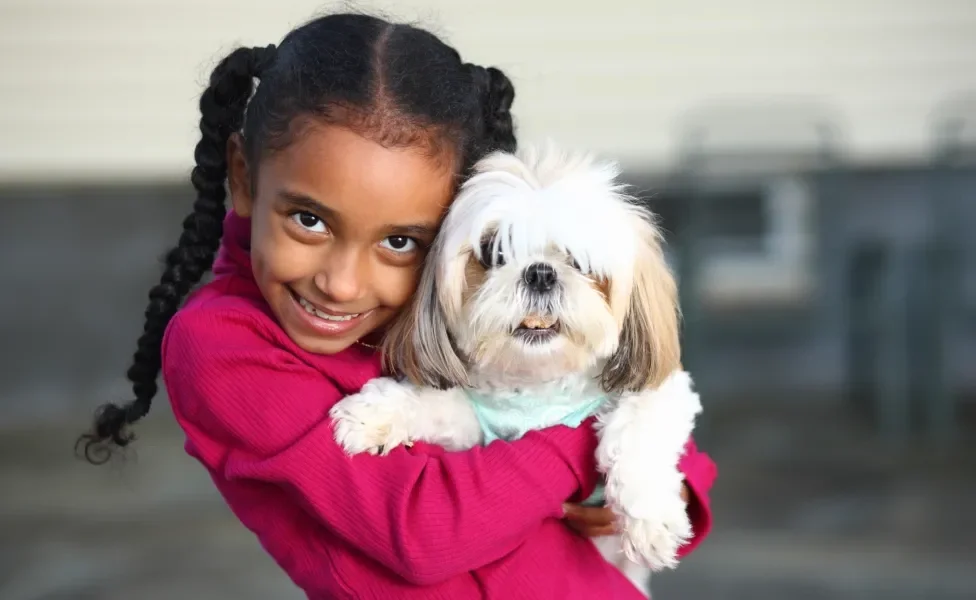 menina segurando cão da raça Shih Tzu