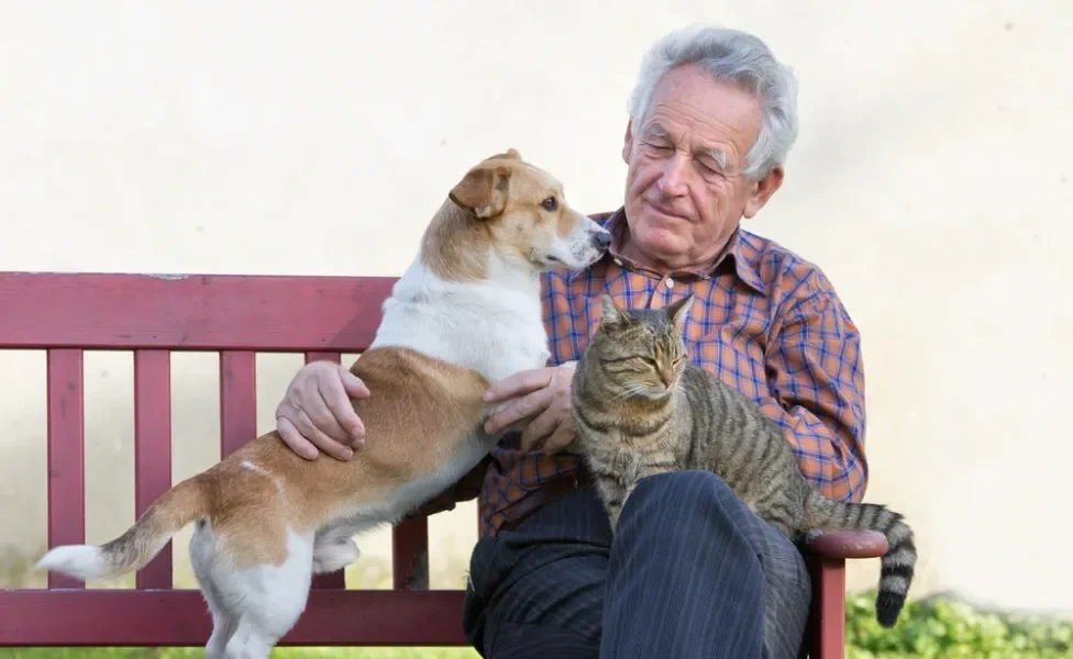 idoso ao lado de cachorro e gato