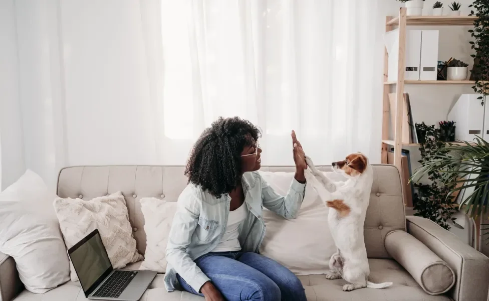 Tutora e cãozinho fazendo "high five" sentados em sofá dentro de sala de estar