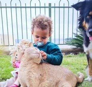 Cachorros e gatos podem prevenir a asma em crianças