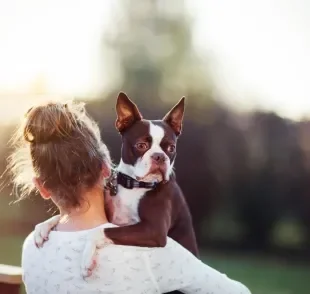 O cachorro escolhe o seu dono com base em alguns critérios