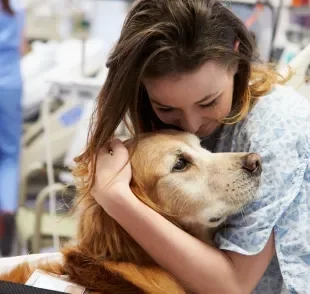 Acredita-se que cachorro sente cheiro de doença no dono 