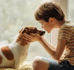 Amor de cachorro é transmitido pelo olhar: descubra como!