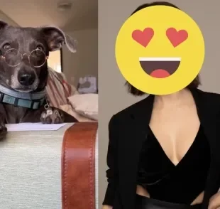 Cachorro decide interpretar canção de amor em vídeo (Créditos: Instagram/ @hunter_srd)