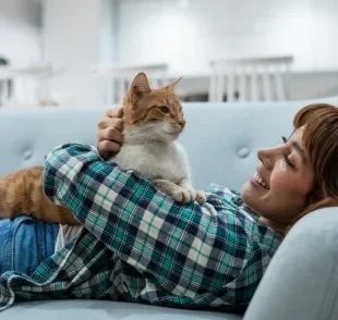 Quando o gato deita na sua barriga ele pode estar marcando território 