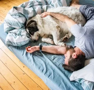 A ideia de que dormir com cachorro faz mal não é real