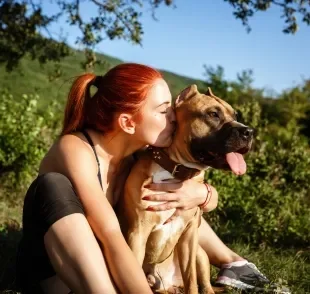 O amor de cachorro por você se revela nos pequenos detalhes