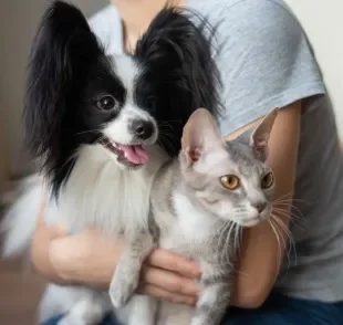 Não importa se você tem um cachorro ou gato: o Patas da Casa fica feliz em ter ajudado todos os tutores!