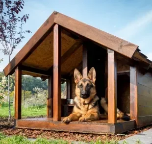 A casinha para cachorro grande deve ser apropriada para o tamanho do pet