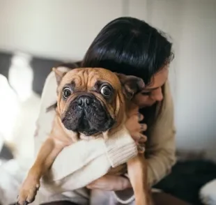 Confira as melhores raças de cachorro para quem mora sozinho