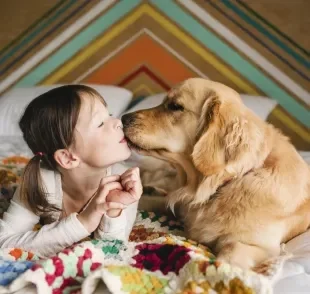 Confira 8 raças de cachorro que se dão bem com bebês, crianças, adultos e idosos