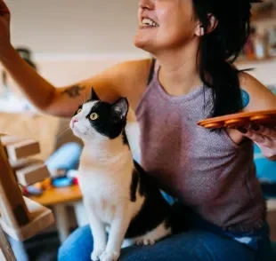 Adote um gato e veja os vários benefícios que eles proporcionam para a saúde mental humana